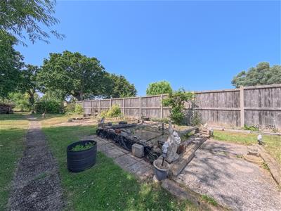 Picture 23